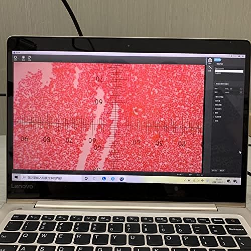 מעבדה מיקרוסקופ ציוד 0.5 איקס אופטי מיקרוסקופ מתאם להפחית עדשה ג-הר תעשייתי מצלמה מיקרוסקופ אבזרים