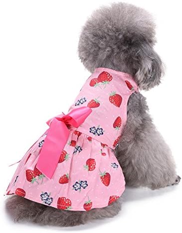 חולצות הונפרד לכלבים ילדה חמוד הדפס חיות מחמד חצאית קשת חצאית נשימה ללא שרוולים שמלת חולצת כלבים נוחה לכלב קטן