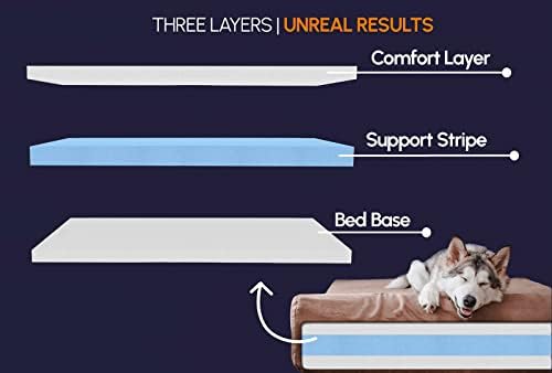 Big Barker 7 מהדורת ספה מיטת כלבים אורטופדית - מיטות כלבים לכלבים גדולים העשויים קצף אורתומדי - אפור פחם, ענק - נוח, תומך במפרקים,
