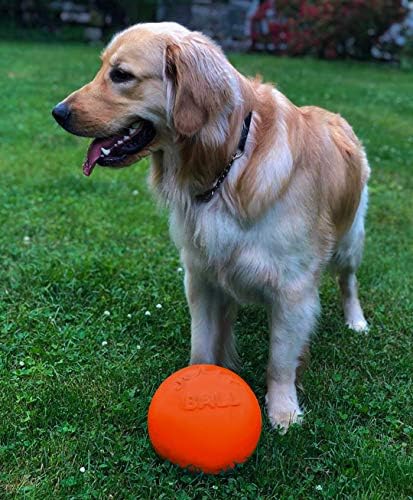 חיות מחמד של ג'ולי Bounce-N-Play כדור צעצוע של כלבים, 8 אינץ '/גדול, כתום,