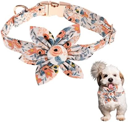 צווארון כלבים Letsqk עם צווארוני כלבים של נערת פרחים עם אבזם מתכת בטיחותית צווארוני כלבים חמודים לצווארון חיית מחמד מתכווננת