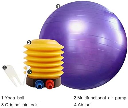 צעצוע כדור יוגה של Jwingin Goatin, כדור צעצוע של אימוני אימון נגד פרץ עם משאבת reflator עבור צעצוע בידור כבש עזים