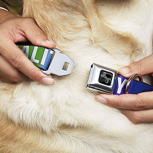 צווארון כלב אבזם חגורת בטיחות בלוקים קשת קשת כחולה לבן 18 עד 32 אינץ 'ברוחב 1.5 אינץ'