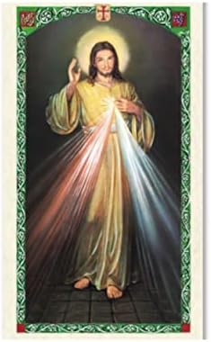 קווים קדושים עור דמוי דמוי אפור 20 שרוול ארבעים מחזיק כרטיסי קדוש עם שלושה כרטיסים, מארגן כרטיסי קדוש תמורת 40