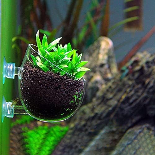 צמח מים ברור זכוכית כוס סיר אקווריום עיצוב המים דגי טנק מחזיק קריסטל זכוכית עציץ עם 2 יניקה כוסות עבור אקווריום קישוט
