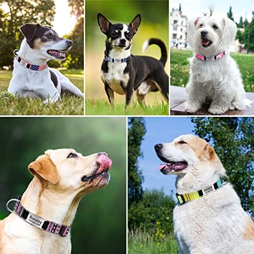 Taglory צווארוני כלבים מערביים המותאמים אישית עם שקופית בהתאמה אישית על צלחת שם חרוט, מתכווננת לגורים, כלבים
