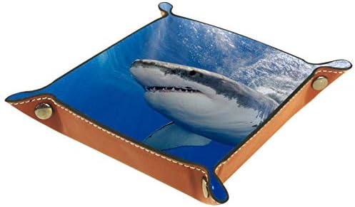 מגשי שולחן במשרד מוום, כריש מתחת לים, מגש שרות עור קופסאות סורגיות מגש קטן למשרד ביתי