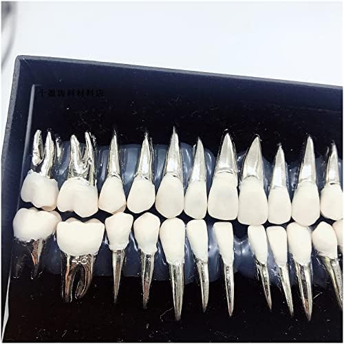 Kh66zky שיניים שיניים אורתודונטיות תרגול שיניים דגם 28 ניתן לשימוש חוזר בפה המלא והסביר את המודל למבוגרים וילדים