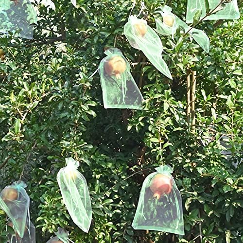 Mixc 50 PCS שקיות הגנה מפירות, 6 '' × 8''fruit שקיות רשת לעצי פרי כיסוי תיק רשת עם שקיות מחסום של רשתות פרח פרי פרח פירות